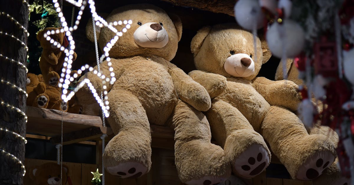 découvrez nos cookies moelleux en forme d'ourson, parfaits pour une pause gourmande pleine de douceur et de plaisir.