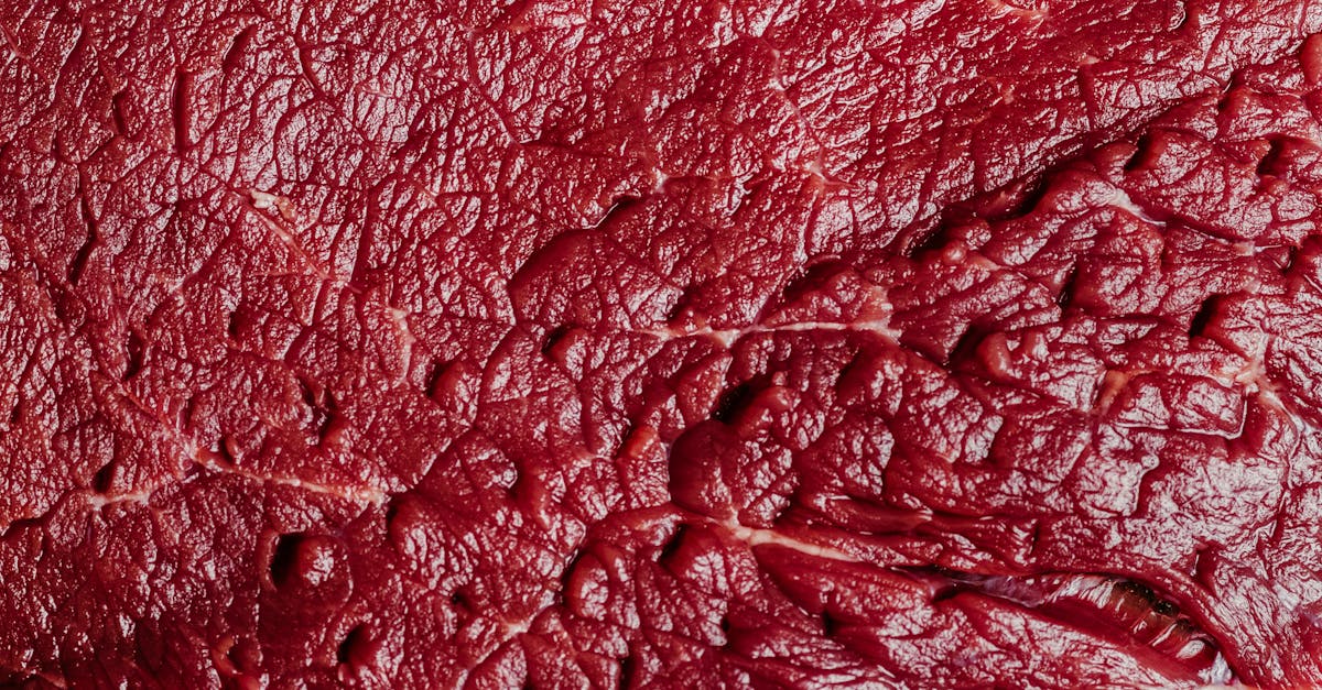 découvrez comment cuisiner la viande de paleron de bœuf avec des recettes simples et savoureuses pour un plat tendre et délicieux.