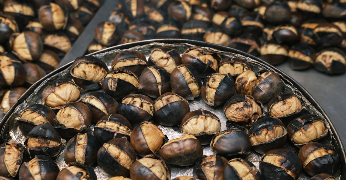 découvrez la douceur et la richesse de notre crème de marron, idéale pour sublimer vos desserts et gourmandises.