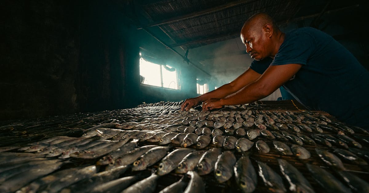 découvrez le hareng fumé, un poisson riche en saveurs, idéal pour des recettes traditionnelles et pleines d'authenticité.
