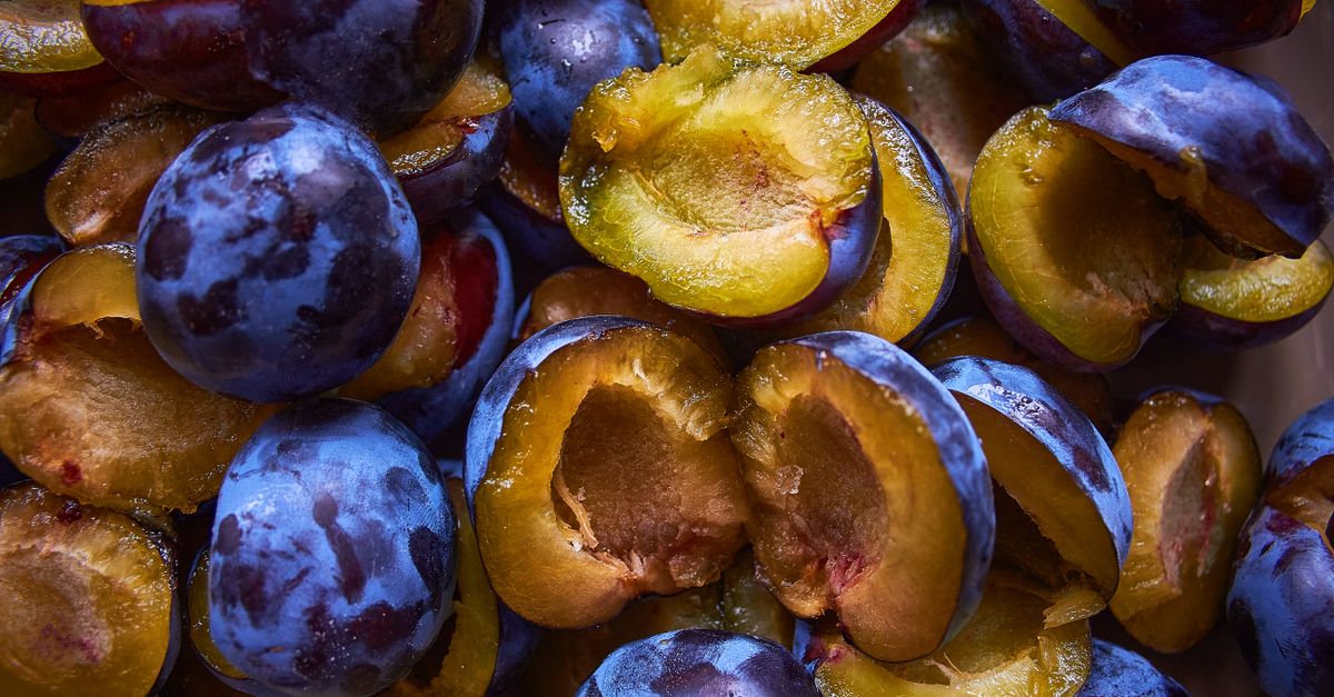 découvrez notre délicieuse tarte aux prunes maison, une pâtisserie savoureuse alliant douceur et fraîcheur pour ravir vos papilles.