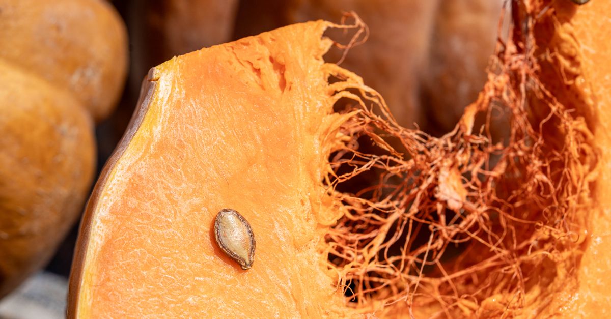 découvrez nos graines de courge grillées, une collation saine et croquante parfaite pour tous les moments de la journée.