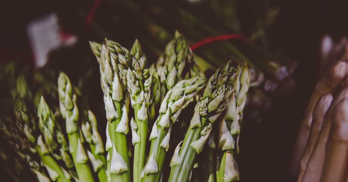 découvrez les différentes variétés d'asperges, leurs caractéristiques, conseils de culture et astuces pour choisir la meilleure asperge selon vos goûts et besoins.