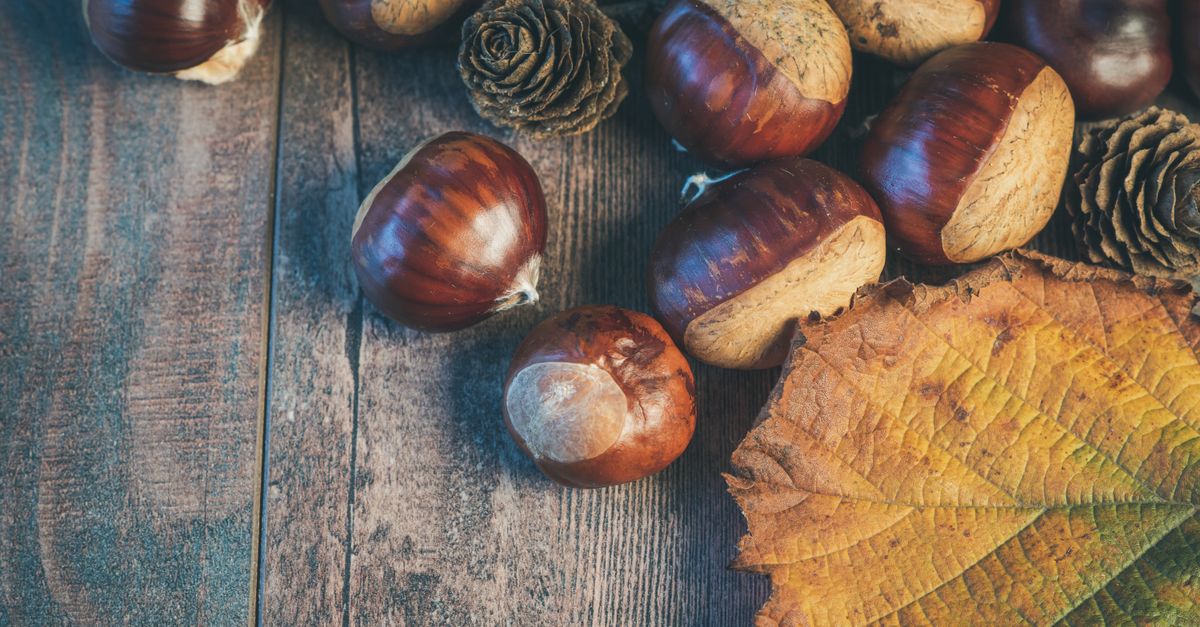 découvrez la douceur et la richesse de notre crème de marrons, idéale pour pâtisseries et desserts gourmands.
