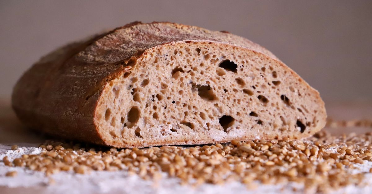 découvrez tout ce qu'il faut savoir sur le gluten : ses origines, ses effets sur la santé, les régimes sans gluten et conseils pour bien manger.