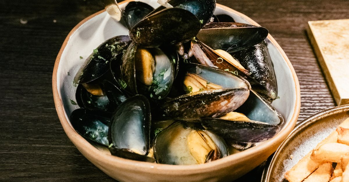 découvrez la saison des moules : meilleures périodes de récolte, recettes savoureuses et astuces pour choisir des moules fraîches.
