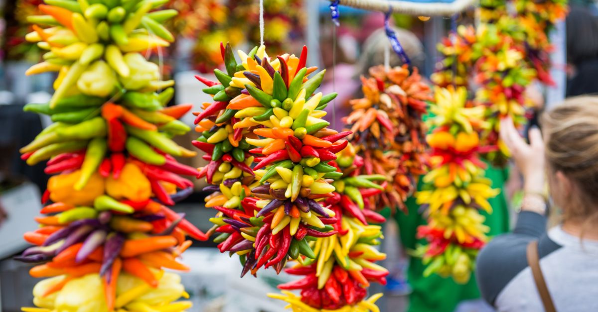 découvrez nos piments décoratifs aux couleurs vives, parfaits pour embellir votre jardin tout en apportant une touche épicée unique.