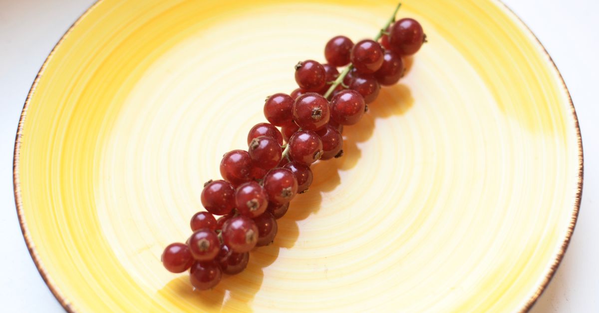 découvrez notre recette facile de confiture de groseilles rouges, parfaite pour un délicieux petit-déjeuner ou un goûter gourmand.